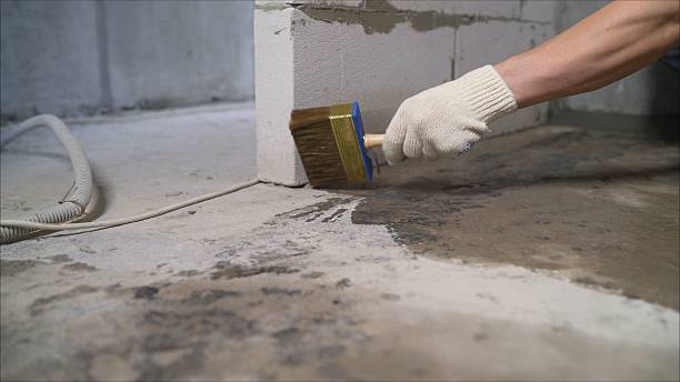 SJ Waterproofing Pros Waterproofing coverage map for Brunswick, GA and surrounding area